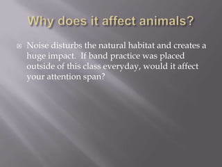Effects Of Noise Pollution On Aquatic Animals | PPTX