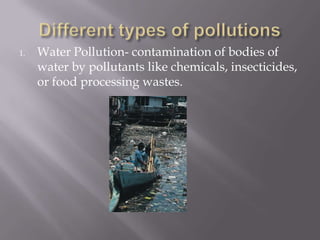 Effects Of Noise Pollution On Aquatic Animals | PPTX
