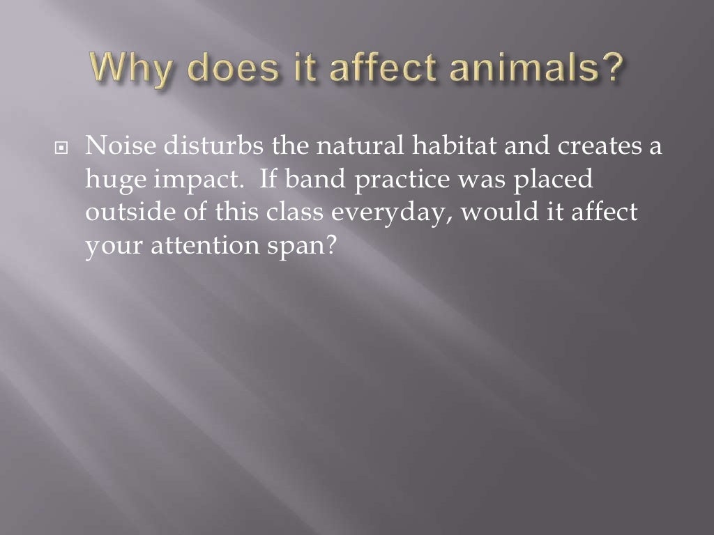 Effects of noise pollution on plants information