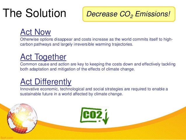 ocean acidification for solution ocean Effects acidification of