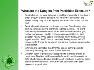 Effects of pesticides of humans