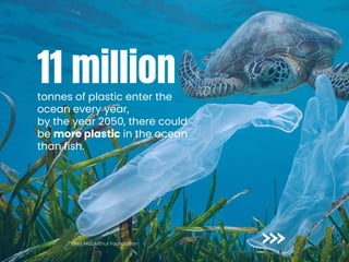 tonnes of plastic enter the
ocean every year,
by the year 2050, there could
be more plastic in the ocean
than fish.
Ellen MacArthur Foundation
11 million
 