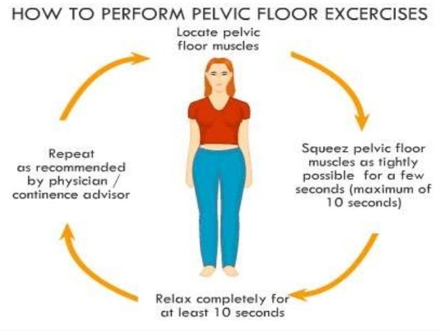Effects Of Pregnancy And Childbirth On Pelvic Floor