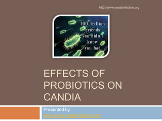 http://www.yeastinfection.org




EFFECTS OF
PROBIOTICS ON
CANDIA
Presented by
http://www.yeastinfection.org
 