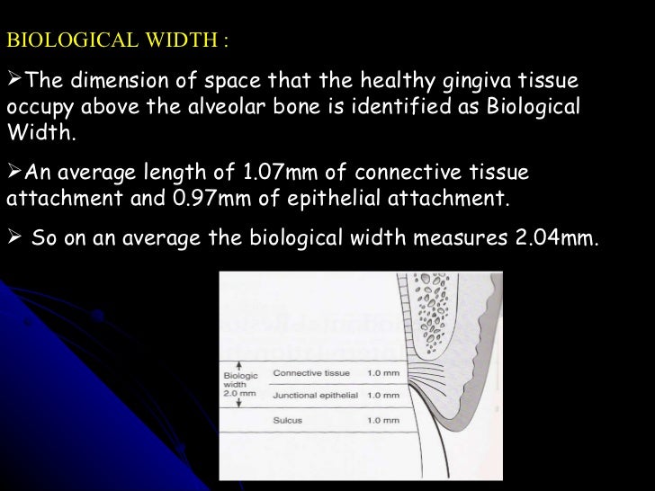 8 biological width