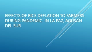 EFFECTS OF RICE DEFLATION TO FARMERS
DURING PANDEMIC IN LA PAZ, AGUSAN
DEL SUR
 