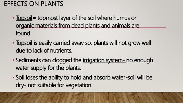 Effects Of Soil Erosion