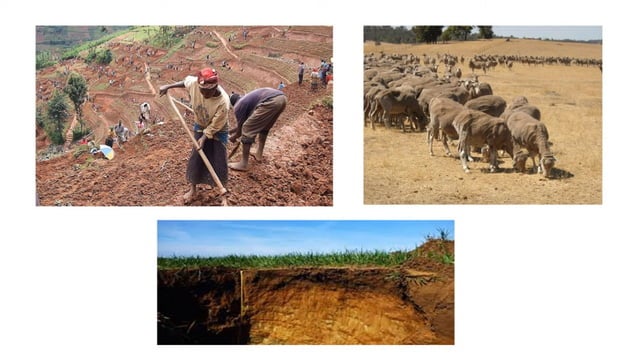 Effects of Soil Erosion in our environment.pptx