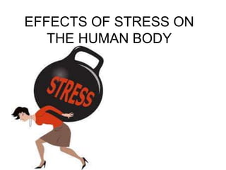 EFFECTS OF STRESS ON
THE HUMAN BODY
 