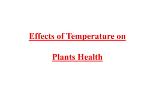 Effects of Temperature on
Plants Health
 