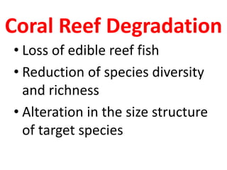 Coral Reef Degradation
• Loss of edible reef fish
• Reduction of species diversity
and richness
• Alteration in the size structure
of target species
