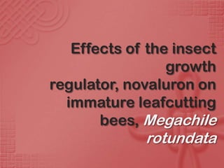 Effects of the insect
                 growth
regulator, novaluron on
  immature leafcutting
       bees, Megachile
             rotundata
 
