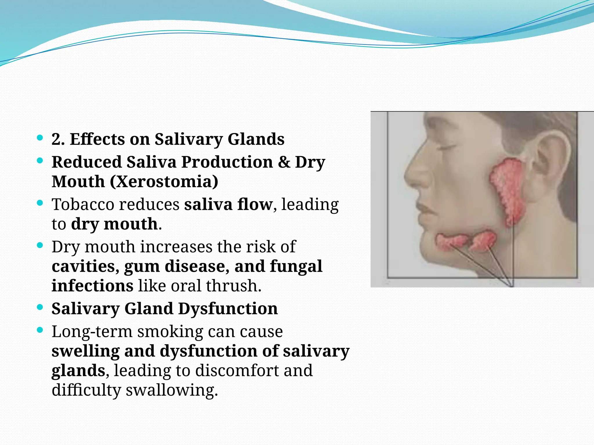 effects of swallowing chewing tobacco doesn't just affect your lungs it can seriously damage your mouth and throat too. Smoking and tobacco expose oral tissues to harmful cancer-causing chemicals, increasing the risk serious The Health Effects of Smokeless