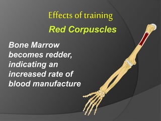Effects of training and Factors Affecting Fitness | PPTX