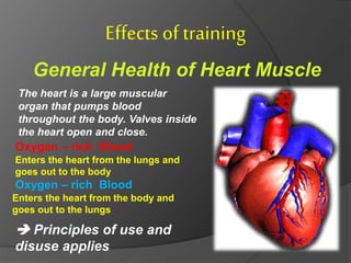 Effects of training and Factors Affecting Fitness | PPTX