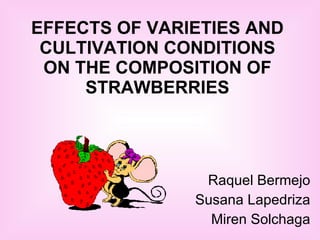 EFFECTS OF VARIETIES AND CULTIVATION CONDITIONS ON THE COMPOSITION OF STRAWBERRIES Raquel Bermejo Susana Lapedriza Miren Solchaga 