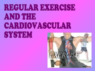 REGULAR EXERCISE AND THE  CARDIOVASCULAR  SYSTEM 