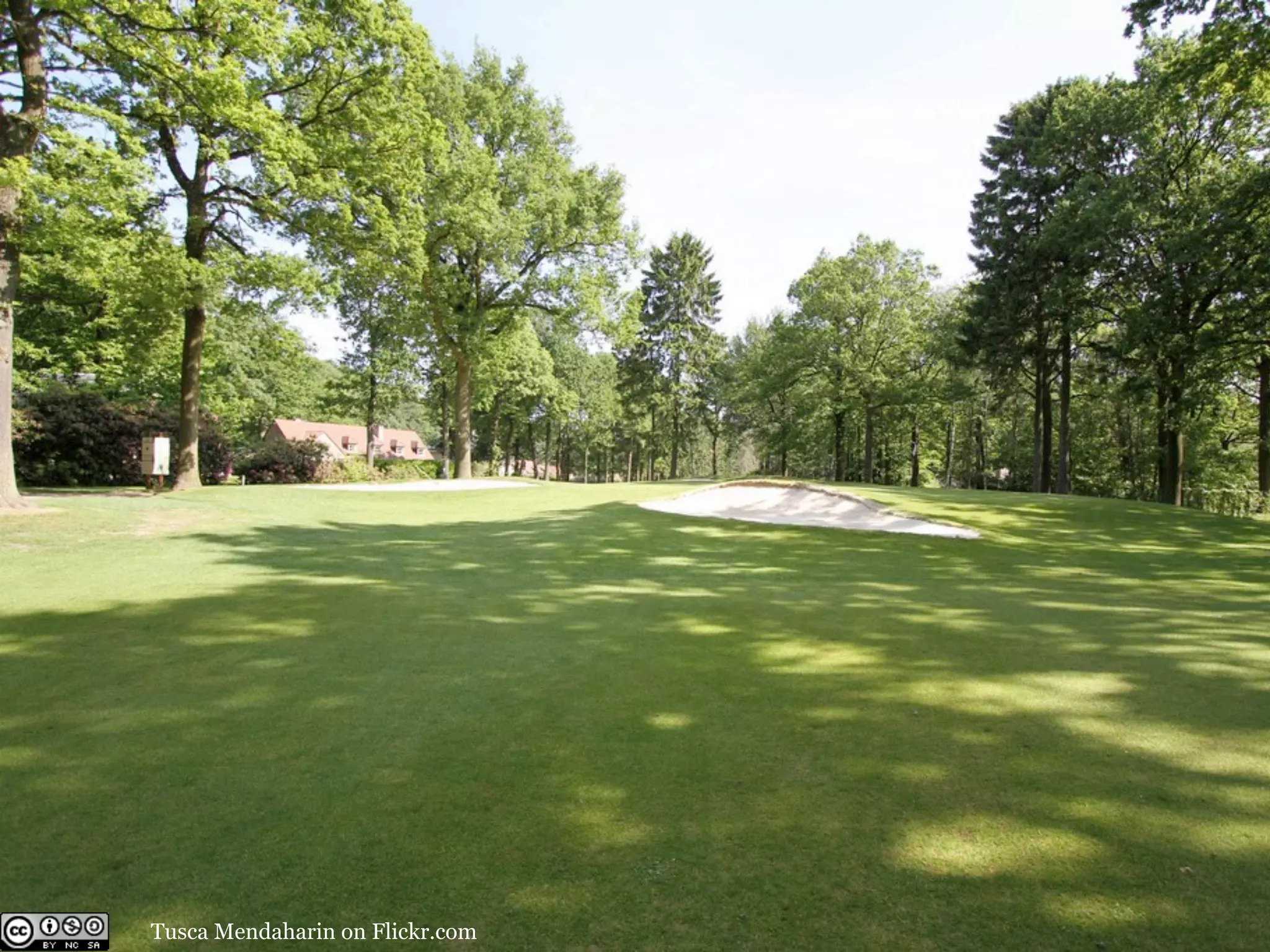 Tusca Mendaharin on Flickr.com
 