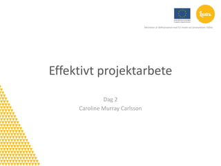 Aktiviteten är delfinansierad med EU-medel via Länsstyrelsen i Skåne




Effektivt projektarbete
              Dag 2
     Caroline Murray Carlsson
 
