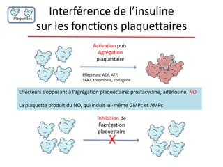 Interférence de l’insuline
sur les fonctions plaquettaires
Activation puis
Agrégation
plaquettaire
Effecteurs: ADP, ATP,
TxA2, thrombine, collagène…
Effecteurs s’opposant à l’agrégation plaquettaire: prostacycline, adénosine, NO
La plaquette produit du NO, qui induit lui-même GMPc et AMPc
Inhibition de
l’agrégation
plaquettaire
X
Plaquettes
 