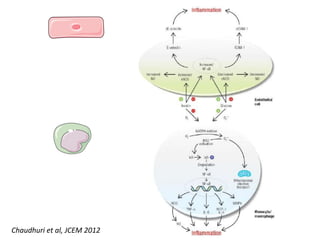 Chaudhuri et al, JCEM 2012
 