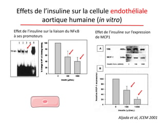 Effets de l’insuline sur la cellule endothéliale
aortique humaine (in vitro)
Aljada et al, JCEM 2001
Effet de l’insuline sur la liaison du NF B
à ses promoteurs
Effet de l’insuline sur l’expression
de MCP1
 