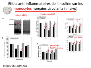 Effets anti-inflammatoires de l’insuline sur les
monocytes humains circulants (in vivo)
Dandona et al, JCEM 2001
Liaison NFKB Production ROS
Expression
NADPH oxydase
MCP-1
S-ICAM1
 