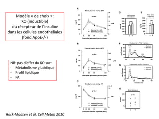 Modèle « de choix »:
KO (inductible)
du récepteur de l’insuline
dans les cellules endothéliales
(fond ApoE-/-)
NB: pas d’effet du KO sur:
- Métabolisme glucidique
- Profil lipidique
- PA
Rask-Madsen et al, Cell Metab 2010
 