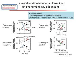 La vasodilatation induite par l’insuline:
un phénomène NO-dépendant
Volontaires sains
Clamp euglycémique hyperinsulinémique
En absence ou présence de L-NMMA (inhibiteur de NOS)
Flux sanguin
brachial
Résistances
vasculaires
Flux sanguin
brachial
Flux sanguin
brachial
Clamp
Clamp + L-NMMA
Clamp
Clamp + L-NMMA
Clamp
Clamp
A jeun
A jeun
Scherrer et al, JCI 1994
Cellules endothéliales
 