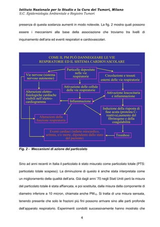 Istituto Nazionale per lo Studio e la Cura dei Tumori, Milano
S.C. Epidemiologia Ambientale e Registro Tumori


presenza di questa sostanza aumenti in modo notevole. La fig. 2 mostra quali possono

essere i meccanismi alla base della associazione che troviamo tra livelli di

inquinamento dell’aria ed eventi respiratori e cardiovascolari.




                   COME IL PM PUÒ DANNEGGIARE LE VIE
              RESPIRATORIE ED IL SISTEMA CARDIOVASCOLARE

                                    Particelle depositate
                                           nelle vie
     Vie nervose (sistema                respiratorie           Circolazione e tessuti
     nervoso autonomo)                                       esterni delle vie respiratorie

                                 Attivazione delle cellule
    Alterazioni elettro-          delle vie respiratorie
                                                                  Attivazione leucocitaria
    fisiologiche cardiache                                            e infiammazione
    visibili nell’elettro-
    cardiogramma                      Infiammazione

                                                              Induzione della risposta di
                                                                fase acuta (proteina C-
              Alterazioni della                                  reattiva),aumento del
            funzione respiratoria                                 fibrinogeno e della
                                                                      coagulabilità

                      Eventi cardiaci (infarto miocardico,
                   aritmia, e/o morte, dipendente dallo stato           Trombosi
                                 del paziente)


Fig. 2 - Meccanismi di azione del particolato



Sino ad anni recenti in Italia il particolato è stato misurato come particolato totale (PTS:

particolato totale sospeso). La diminuzione di questo è anche stata interpretata come

un miglioramento della qualità dell’aria. Già dagli anni ’70 negli Stati Uniti però la misura

del particolato totale è stata affiancata, e poi sostituita, dalla misura della componente di

diametro inferiore a 10 micron, chiamata anche PM10. Si tratta di una misura sensata,

tenendo presente che solo le frazioni più fini possono arrivare sino alle parti profonde

dell’apparato respiratorio. Esperimenti condotti successivamente hanno mostrato che

                                              4
 