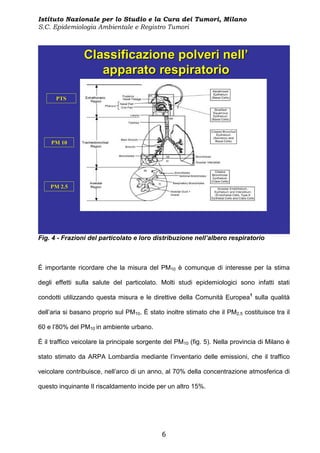 Istituto Nazionale per lo Studio e la Cura dei Tumori, Milano
S.C. Epidemiologia Ambientale e Registro Tumori



                Classificazione polveri nell’
                   apparato respiratorio

      PTS




    PM 10




    PM 2.5




Fig. 4 - Frazioni del particolato e loro distribuzione nell’albero respiratorio



È importante ricordare che la misura del PM10 è comunque di interesse per la stima

degli effetti sulla salute del particolato. Molti studi epidemiologici sono infatti stati

condotti utilizzando questa misura e le direttive della Comunità Europea1 sulla qualità

dell’aria si basano proprio sul PM10. È stato inoltre stimato che il PM2.5 costituisce tra il

60 e l’80% del PM10 in ambiente urbano.

È il traffico veicolare la principale sorgente del PM10 (fig. 5). Nella provincia di Milano è

stato stimato da ARPA Lombardia mediante l’inventario delle emissioni, che il traffico

veicolare contribuisce, nell’arco di un anno, al 70% della concentrazione atmosferica di

questo inquinante Il riscaldamento incide per un altro 15%.




                                             6
 
