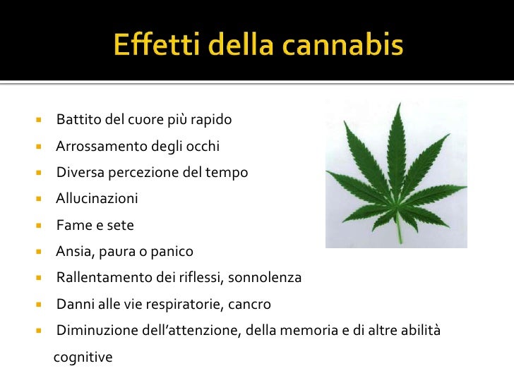 Effetti Della Cannabis Sul Sistema Nervoso Progetto "Facebook & Salute" - Effetti fisici di alcune sostanze