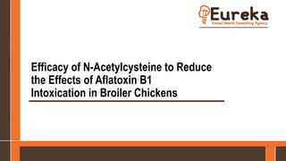 Efficacy of N-Acetylcysteine to Reduce
the Effects of Aflatoxin B1
Intoxication in Broiler Chickens
 