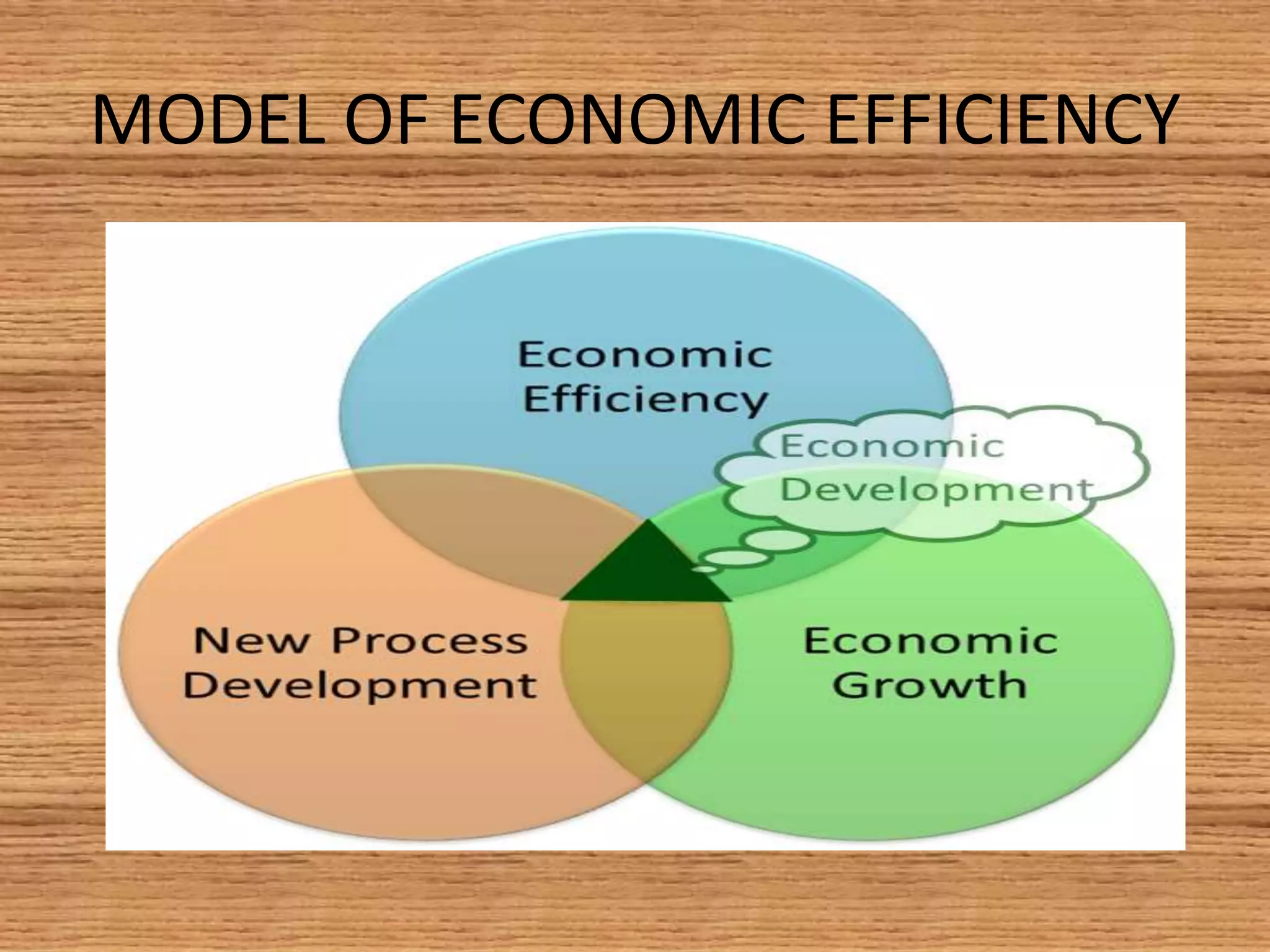 MODEL OF ECONOMIC EFFICIENCY
 