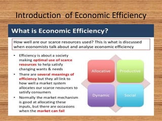 Efficiency and economic valuation ppt | PPTX