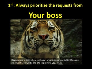 1st : Always prioritize the requests from

Your boss

Having more visibility, he / she knows what is important better than...