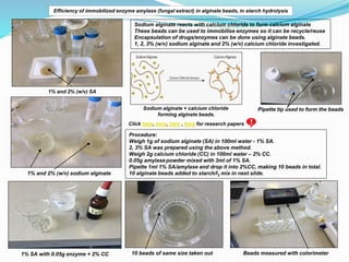 Efficiency of immobilized enzyme amylase (fungal extract) in alginate beads, in starch hydrolysis
Sodium alginate reacts with calcium chloride to form calcium alginate
These beads can be used to immobilise enzymes so it can be recycle/reuse
Encapsulation of drugs/enzymes can be done using alginate beads.
1, 2, 3% (w/v) sodium alginate and 2% (w/v) calcium chloride investigated.
Sodium alginate + calcium chloride
forming alginate beads.
Procedure:
Weigh 1g of sodium alginate (SA) in 100ml water - 1% SA.
2, 3% SA was prepared using the above method.
Weigh 2g calcium chloride (CC) in 100ml water – 2% CC.
0.05g amylase powder mixed with 3ml of 1% SA.
Pipette 1ml 1% SA/amylase and drop it into 2%CC, making 10 beads in total.
10 alginate beads added to starch/I2 mix in next slide.
Click here, here, here , here for research papers
1% and 2% (w/v) SA
1% and 2% (w/v) sodium alginate
10 beads of same size taken out Beads measured with colorimeter
1% SA with 0.05g enzyme + 2% CC
Pipette tip used to form the beads
 