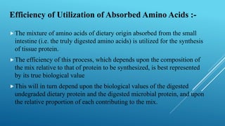 Efficiency of Utilization of Absorbed Amino Acids :-
The mixture of amino acids of dietary origin absorbed from the small
intestine (i.e. the truly digested amino acids) is utilized for the synthesis
of tissue protein.
The efficiency of this process, which depends upon the composition of
the mix relative to that of protein to be synthesized, is best represented
by its true biological value
This will in turn depend upon the biological values of the digested
undegraded dietary protein and the digested microbial protein, and upon
the relative proportion of each contributing to the mix.
 