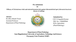 Pre submission
on
Efficacy of Trichoderma viride and selected botanical oils against Alternarial leaf spot (Alternaria brassicae)
disease of cabbage
Advisor:
Dr. (Mrs.) Shashi Tiwari
Assistant Professor
Department of Plant Pathology
Submitted by:
CH.V S Jagadish Kumar
PID. No.- 19MSPP064
M.Sc.Agriculture
(PlantPathology)
Department of Plant Pathology
Sam Higginbottom University of Agriculture, TechnologyAndSciences
Prayagraj, Uttar Pradesh, 211007.
 