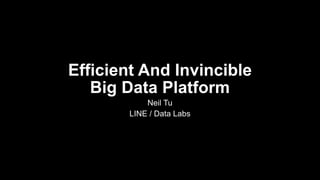 Efficient And Invincible Big Data Platform