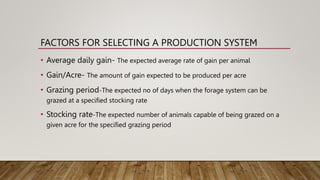 Efficient beef production system.pptx