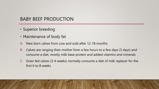 Efficient beef production  system.pptx