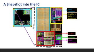 Input
capacitors
Amplifier +
Buffer +
Bias Circuit
∆∑ ADC
FIR Filter
Clock
generation
306um
196 um
A Snapshot into the IC
 