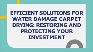 EFFICIENT SOLUTIONS FOR
WATER DAMAGE CARPET
DRYING: RESTORING AND
PROTECTING YOUR
INVESTMENT
 