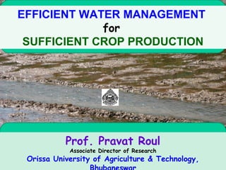 EFFICIENT WATER MANAGEMENT
for
SUFFICIENT CROP PRODUCTION
Prof. Pravat Roul
Associate Director of Research
Orissa University of Agriculture & Technology,
 