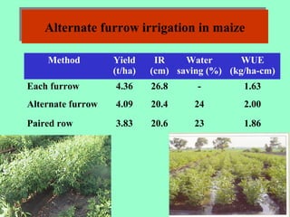 Alternate furrow irrigation in maizeAlternate furrow irrigation in maize
Method Yield
(t/ha)
IR
(cm)
Water
saving (%)
WUE
(kg/ha-cm)
Each furrow 4.36 26.8 - 1.63
Alternate furrow 4.09 20.4 24 2.00
Paired row 3.83 20.6 23 1.86
 