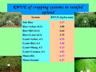 RWUE of cropping systems in rainfed
upland
System RWUE (kg/ha-mm)
Sole Rice 2.17
Rice+Arhar (4:1) 3.80
Rice+Biri (4:1) 4.64
Rice+G.nut (4:1) 3.75
G.nut+Arhar, 4:1 6.59
G.nut+Biri, 4:1 5.48
G.nut+Mung, 4:1 6.13
G.nut+Cowpea, 4:1 4.82
Maize-HG 6.73
Maize-Sesame 6.27
 