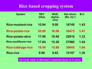Rice based cropping system
System REY
(t/ha)
WUE,
(kg/ha-
mm)
Net return
(Rs. ha-1
)
B:C
Rice-mustard-rice 10.84 9.00 16749 1.43
Rice-potato-rice 20.00 16.00 30473 1.47
Rice-potato-okra 17.96 19.48 22816 1.33
Rice-cauliflower-rice 17.84 15.38 27960 1.44
Rice-cabbage-rice 19.54 15.89 39045 1.64
Rice-rice 8.98 9.62 12197 1.30
On Farm study in Hirakud Command (mean of 5 years)
 