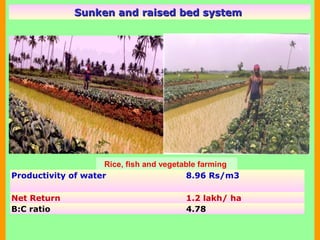 Sunken and raised bed systemSunken and raised bed system
Rice, fish and vegetable farming
Productivity of water 8.96 Rs/m3
Net Return 1.2 lakh/ ha
B:C ratio 4.78
 