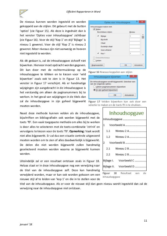 Efficiënt rapporteren in Word